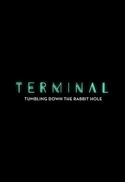 Terminal